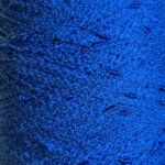 Blue Jay